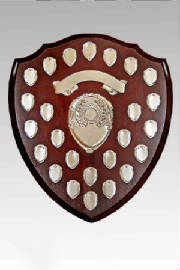 ring85ibmshield.jpg